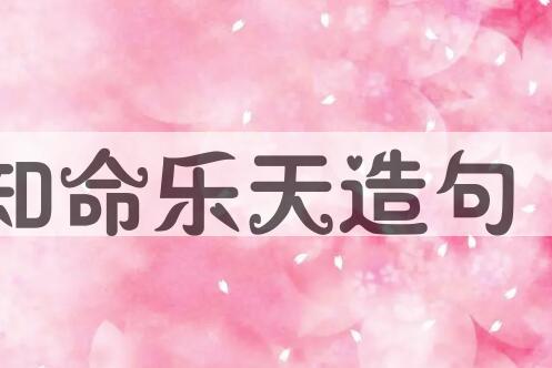 用知命乐天造句