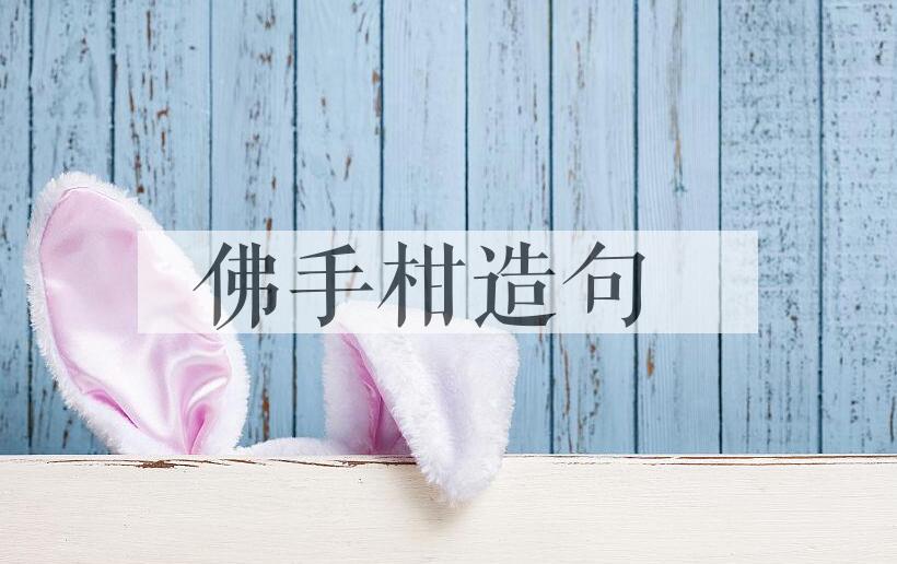 用佛手柑造句