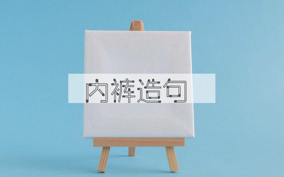 用内裤造句