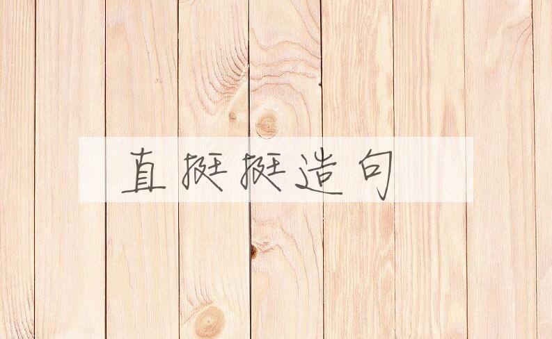 用直挺挺造句