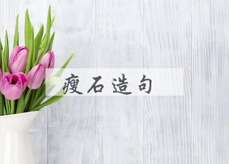 用瘦石造句