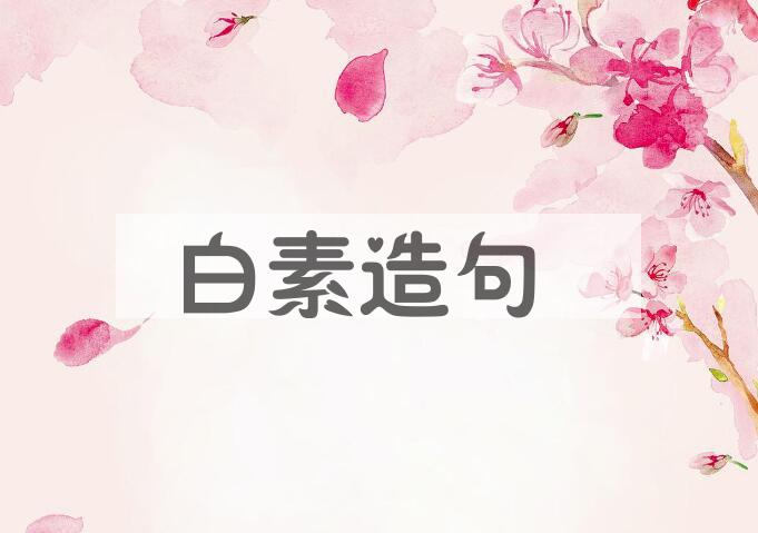 用白素造句