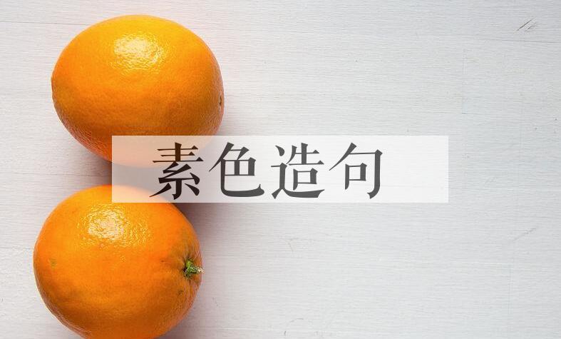 用素色造句