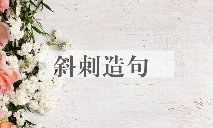 用斜刺造句
