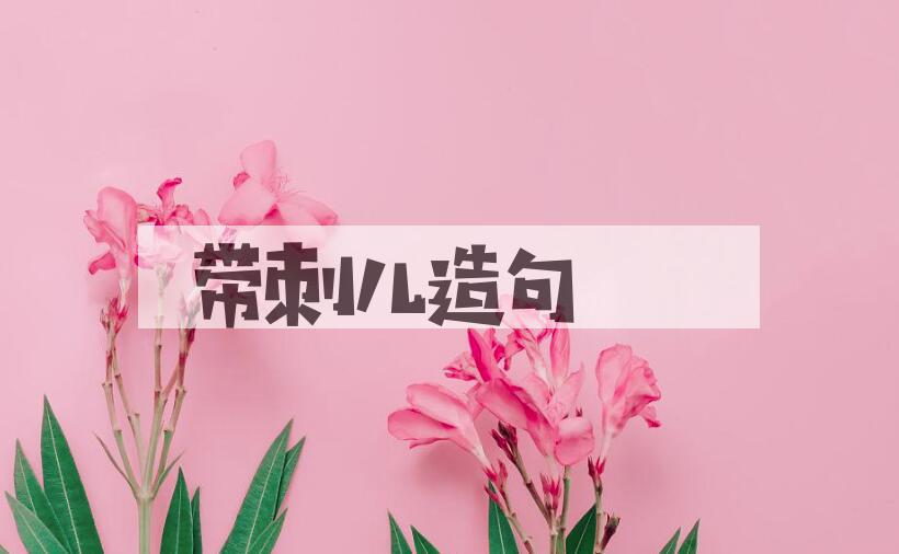 用带刺儿造句