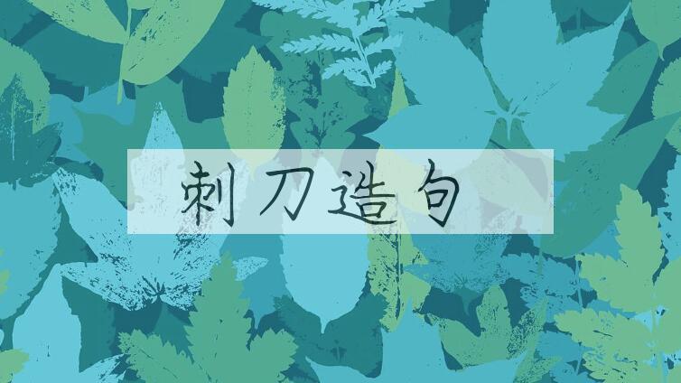 用刺刀造句