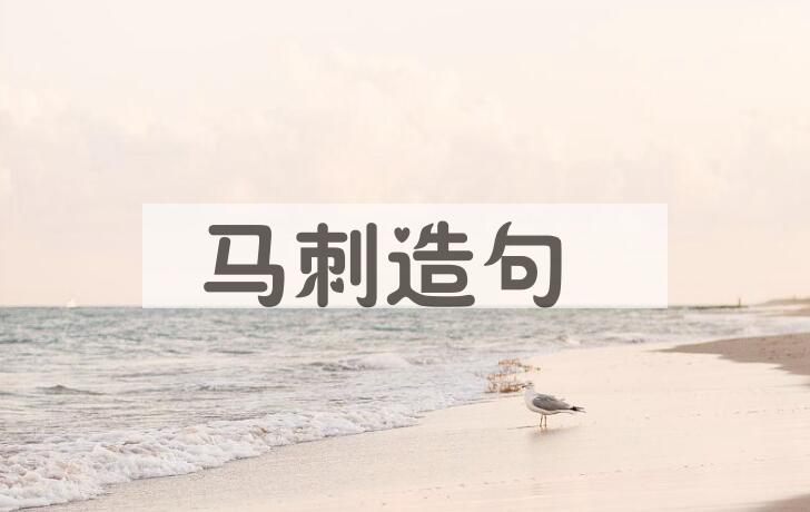 用马刺造句