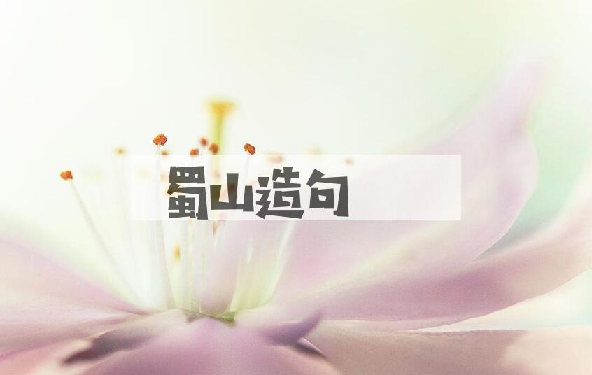 用蜀山造句