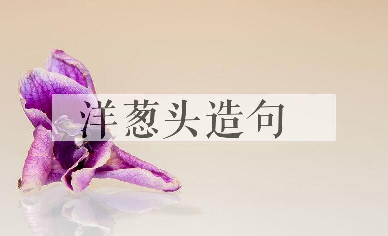 用洋葱头造句