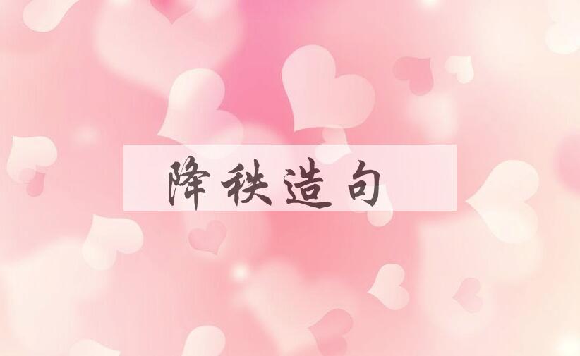 用降秩造句