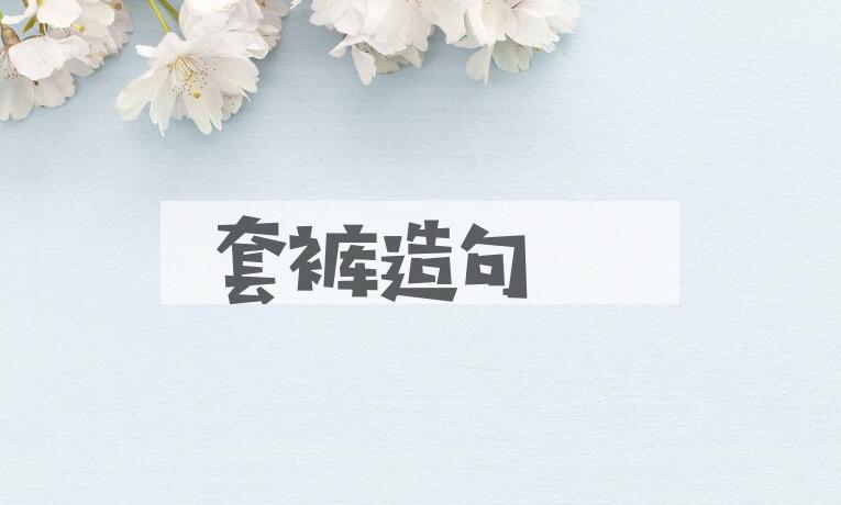 用套裤造句