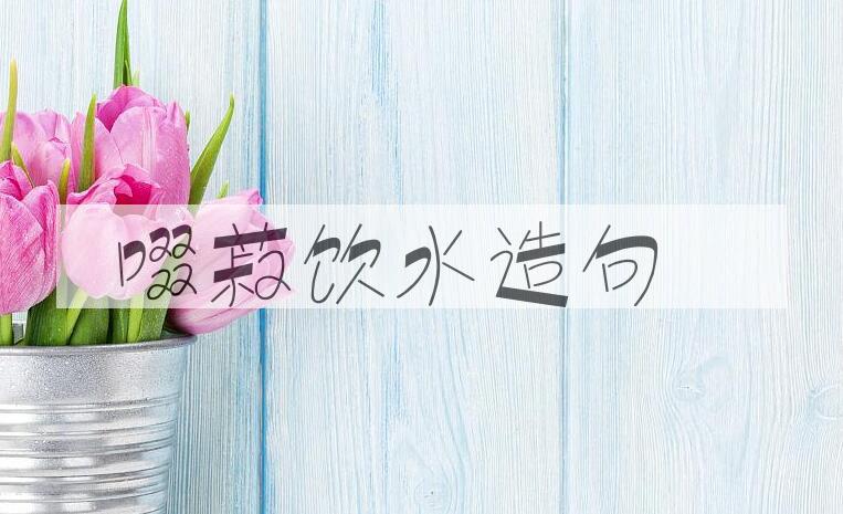 用啜菽饮水造句