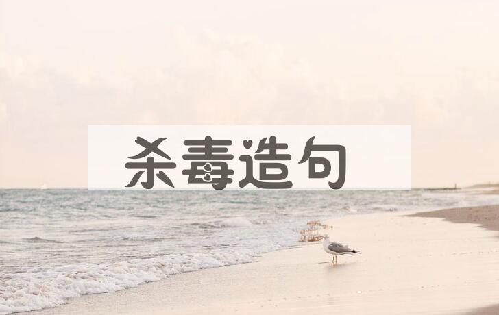 用杀毒造句