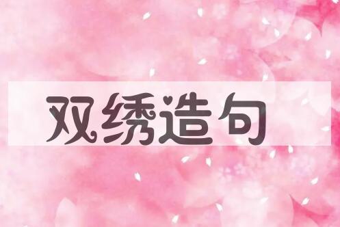 用双绣造句