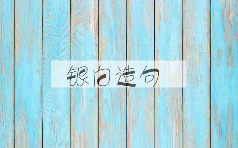 用银白造句
