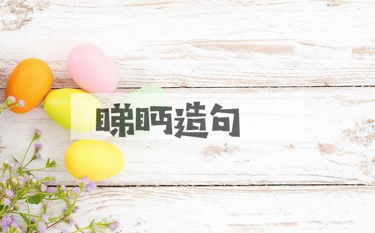 用睇眄造句