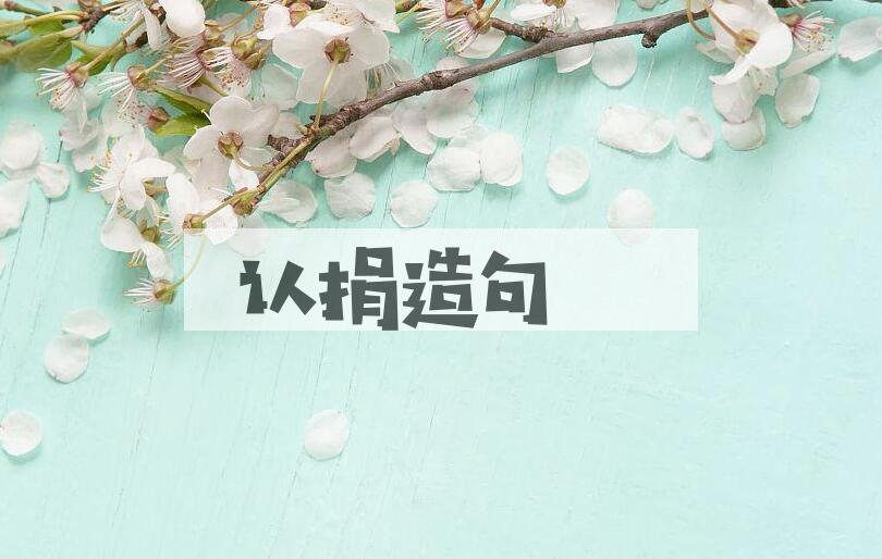 用认捐造句