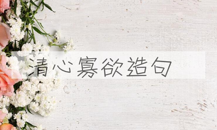 用清心寡欲造句