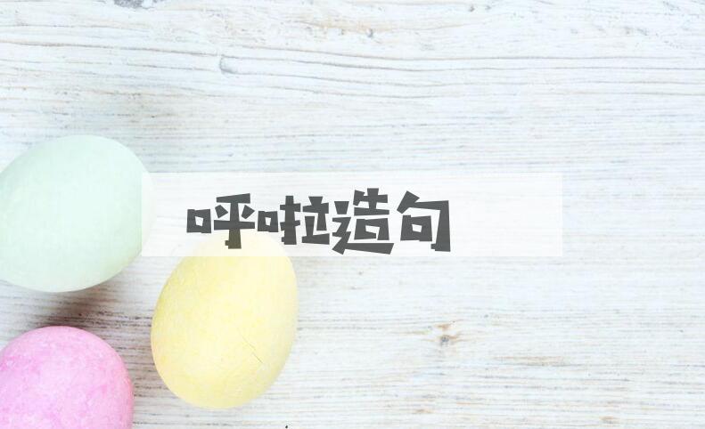 用呼啦造句