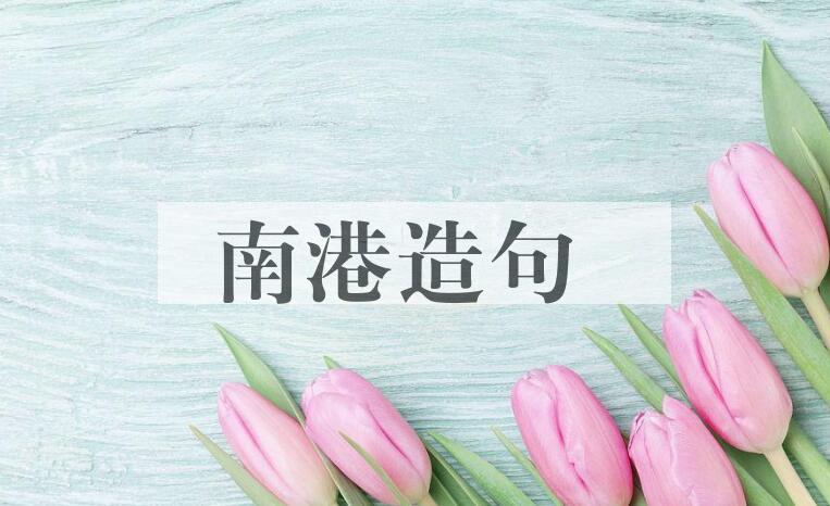 用南港造句