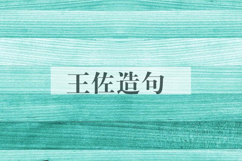 用王佐造句