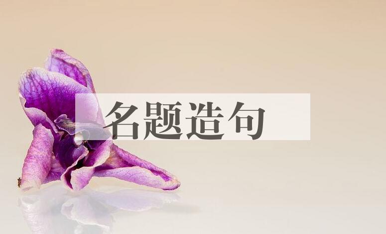 用名题造句