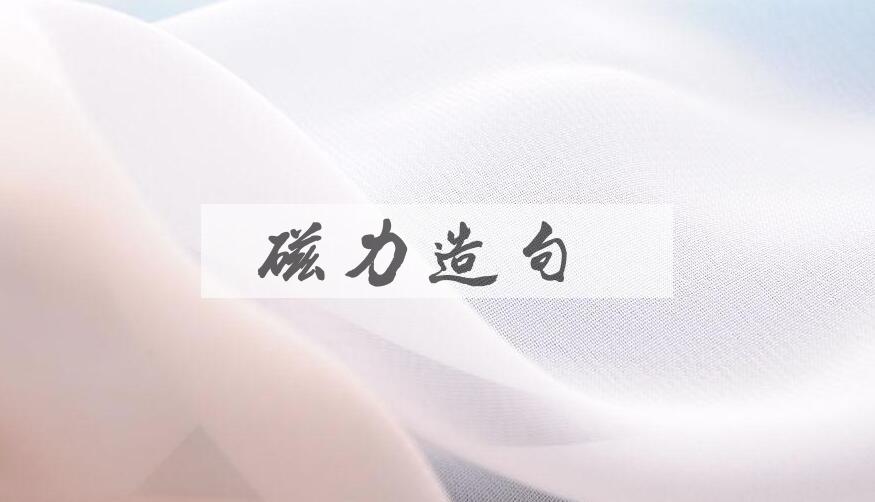 用磁力造句