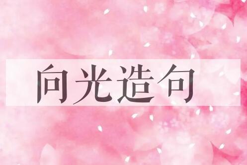 用向光造句