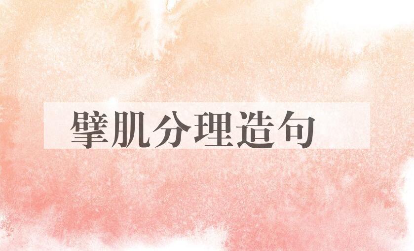 用擘肌分理造句
