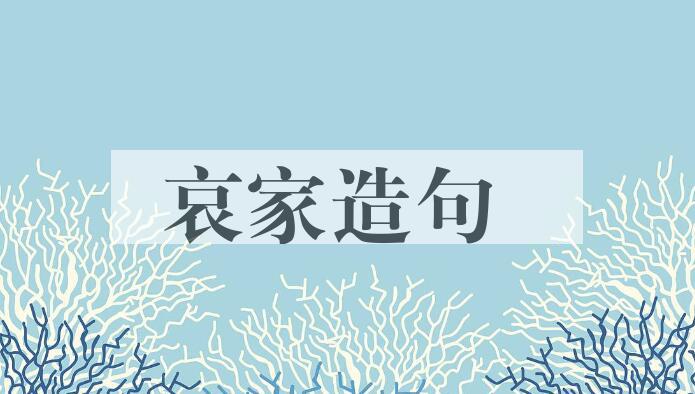 用哀家造句