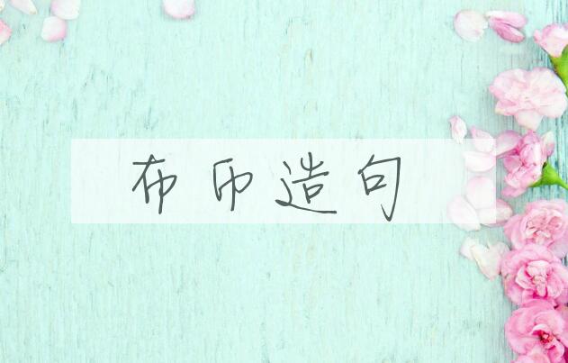 用布币造句