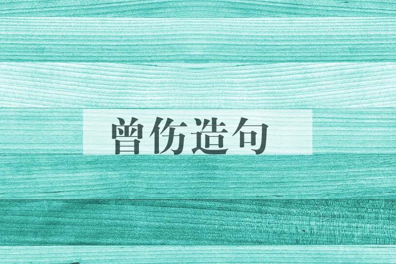 用曾伤造句