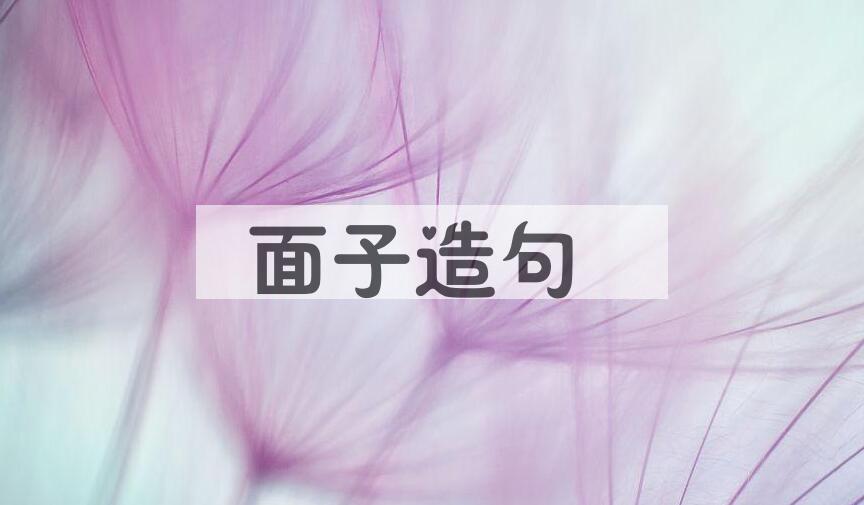 用面子造句