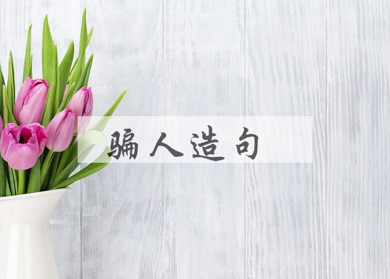用骗人造句