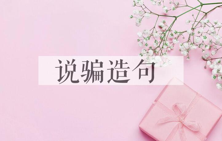 用说骗造句