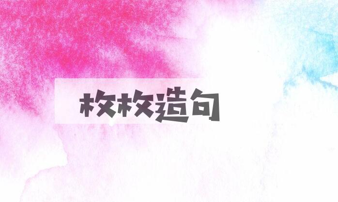 用枚枚造句