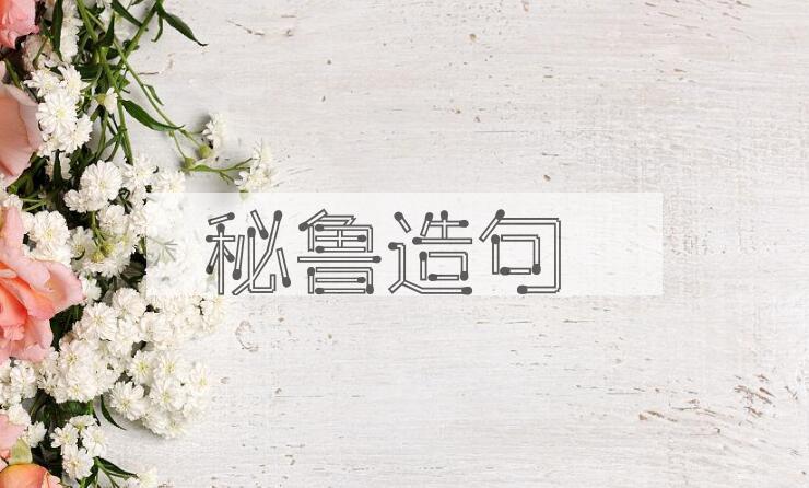 用秘鲁造句
