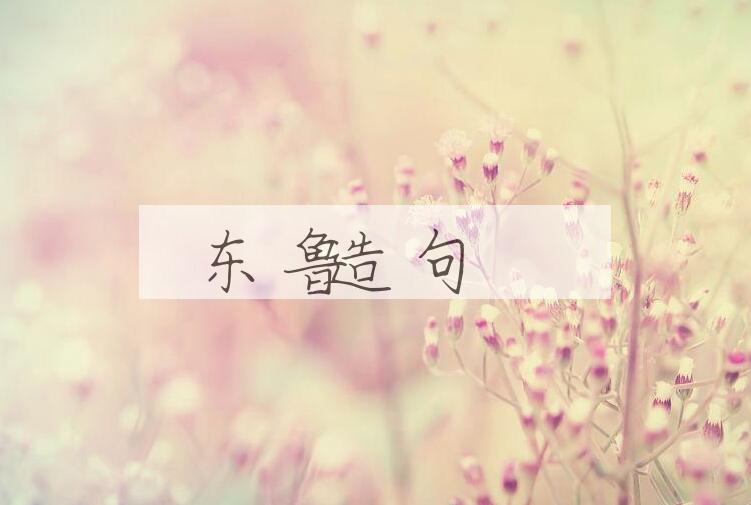 用东鲁造句