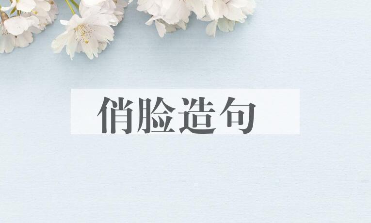 用俏脸造句