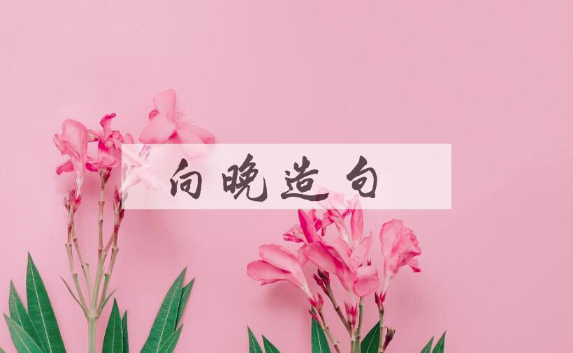 用向晚造句