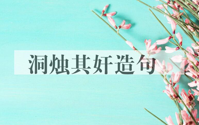 用洞烛其奸造句