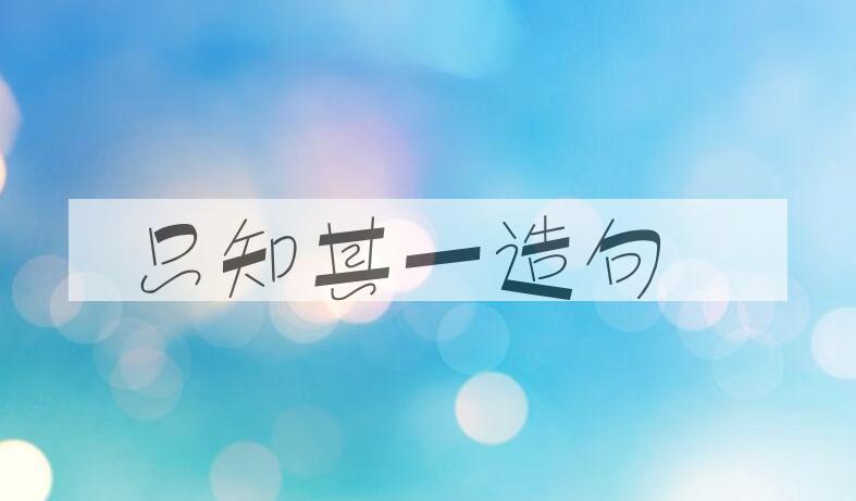 用只知其一造句