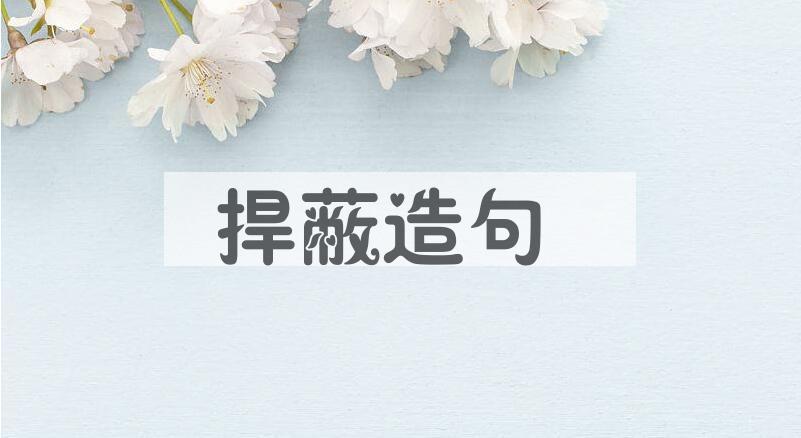 用捍蔽造句