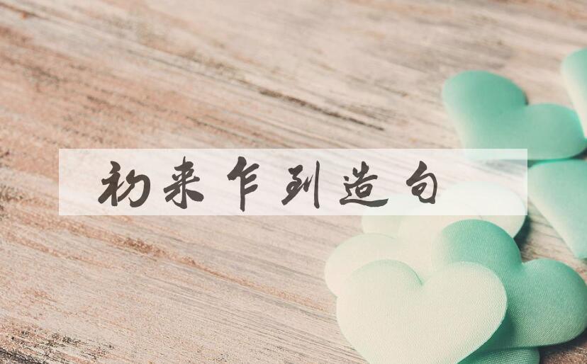 用初来乍到造句