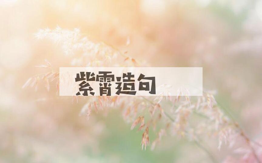 用紫霄造句