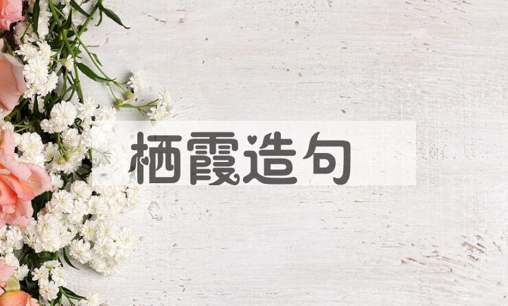 用栖霞造句