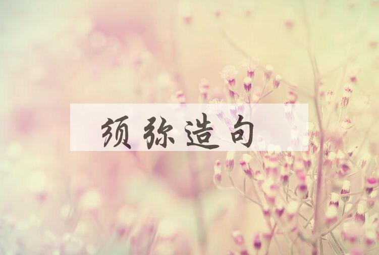 用须弥造句