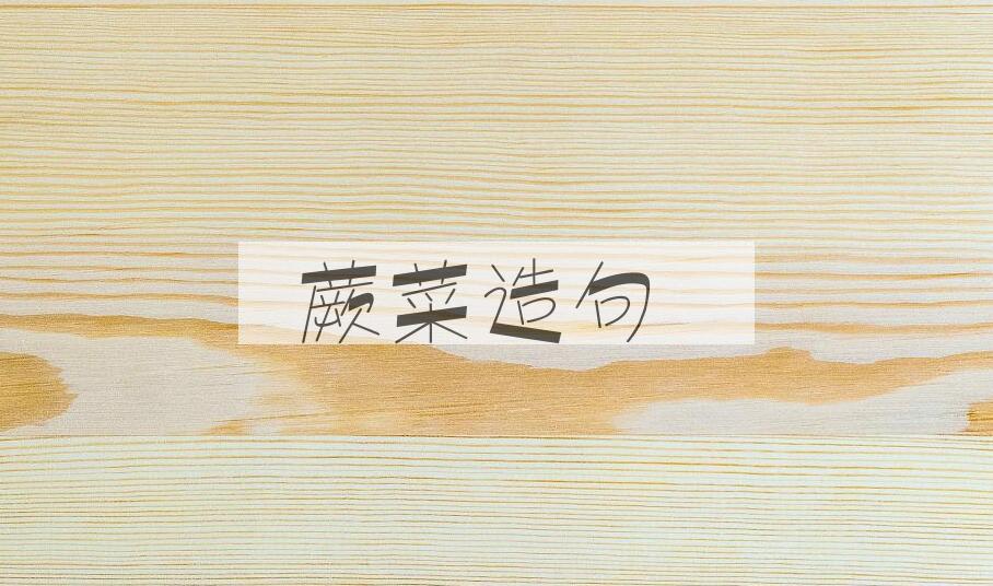 用蕨菜造句