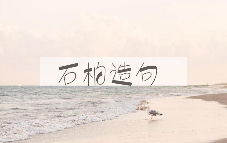 用石柏造句