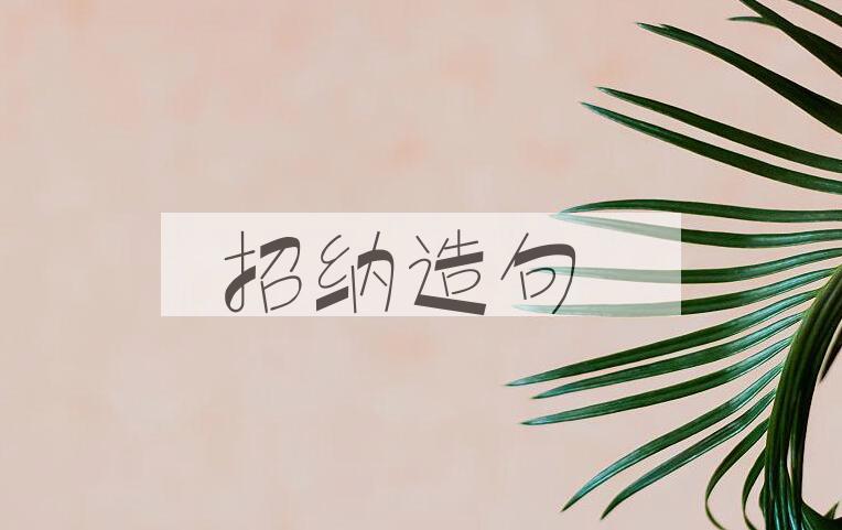 用招纳造句